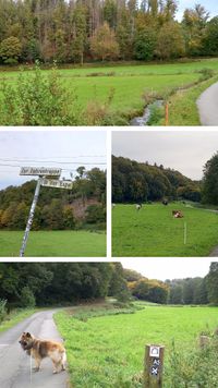 Herbstwanderung_04